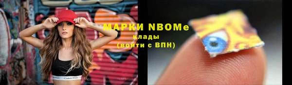 дживик Богородицк