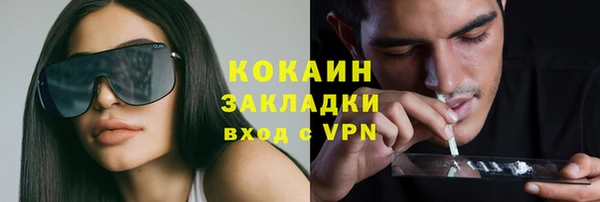 таблы Бородино