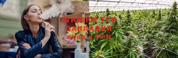 таблы Бородино