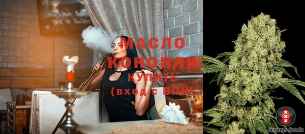 дживик Богородицк