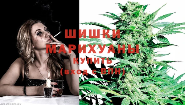 таблы Бородино