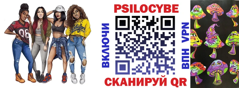 как найти закладки  Торжок  Галлюциногенные грибы мицелий 